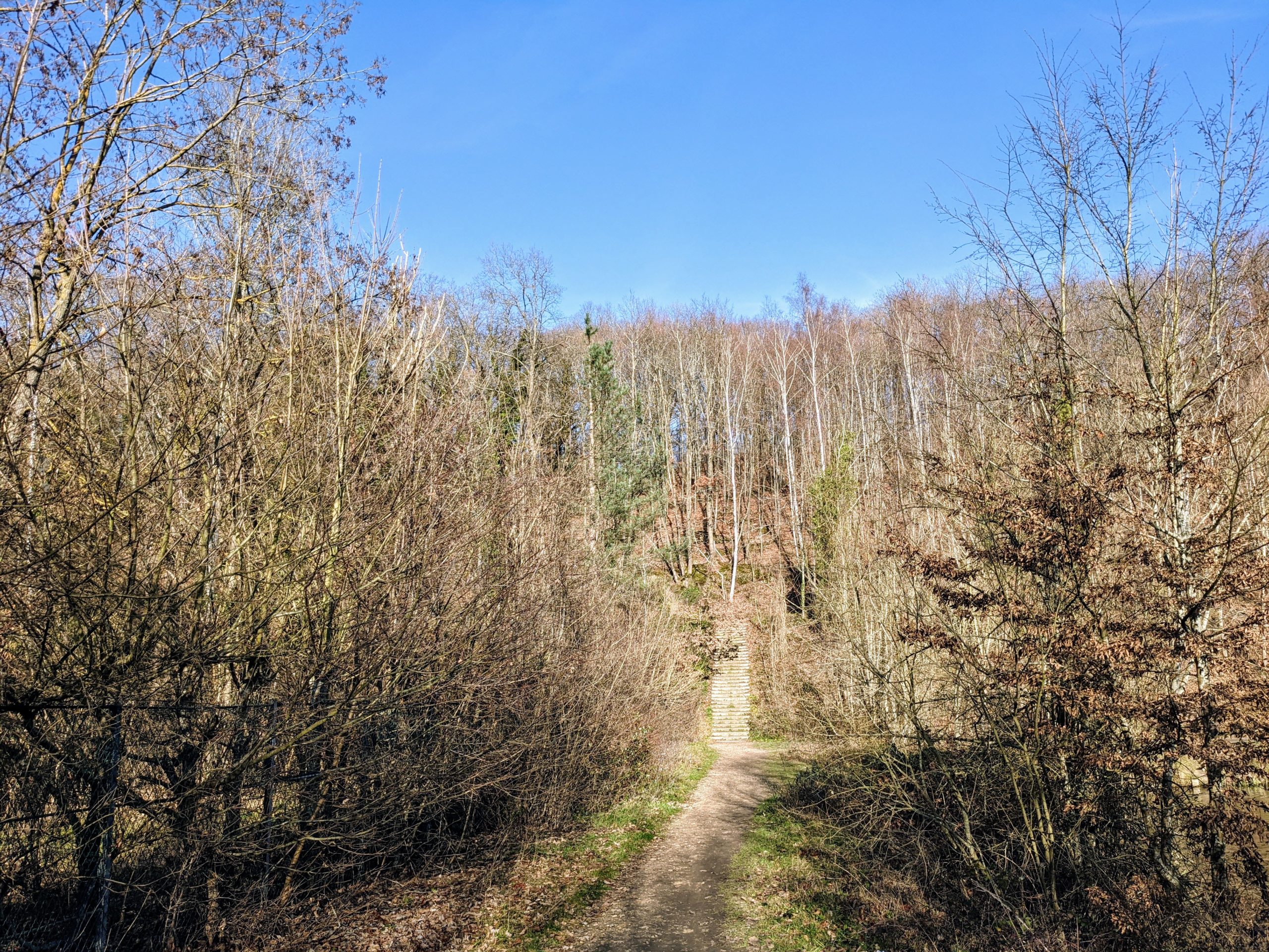 Balade aux Etangs de la Minière