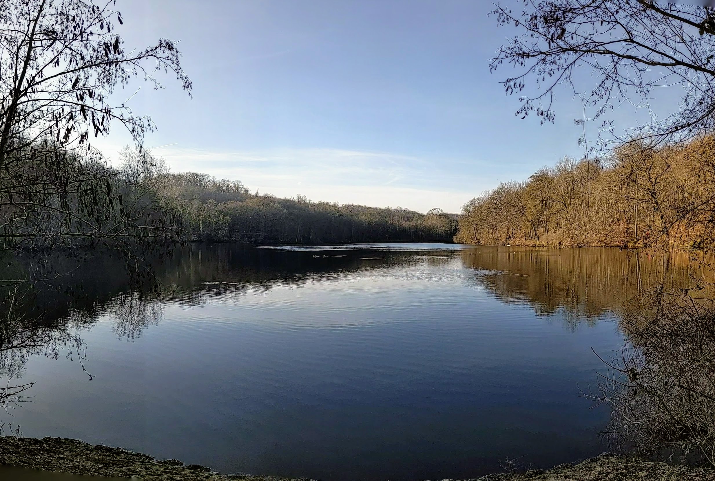 étang du Val d'Or à Guyancourt