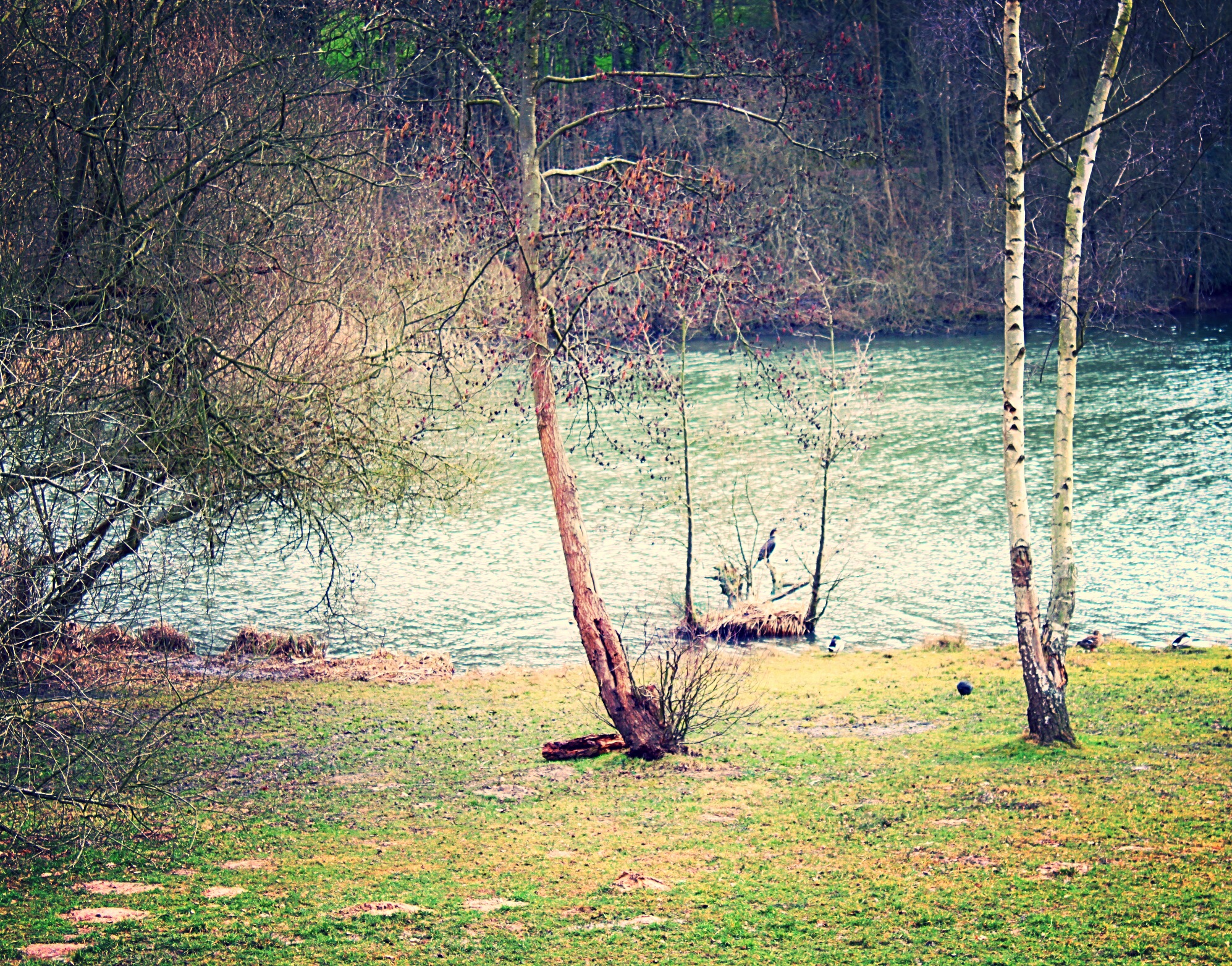 Etang du Bois de la Cranne à Plaisir