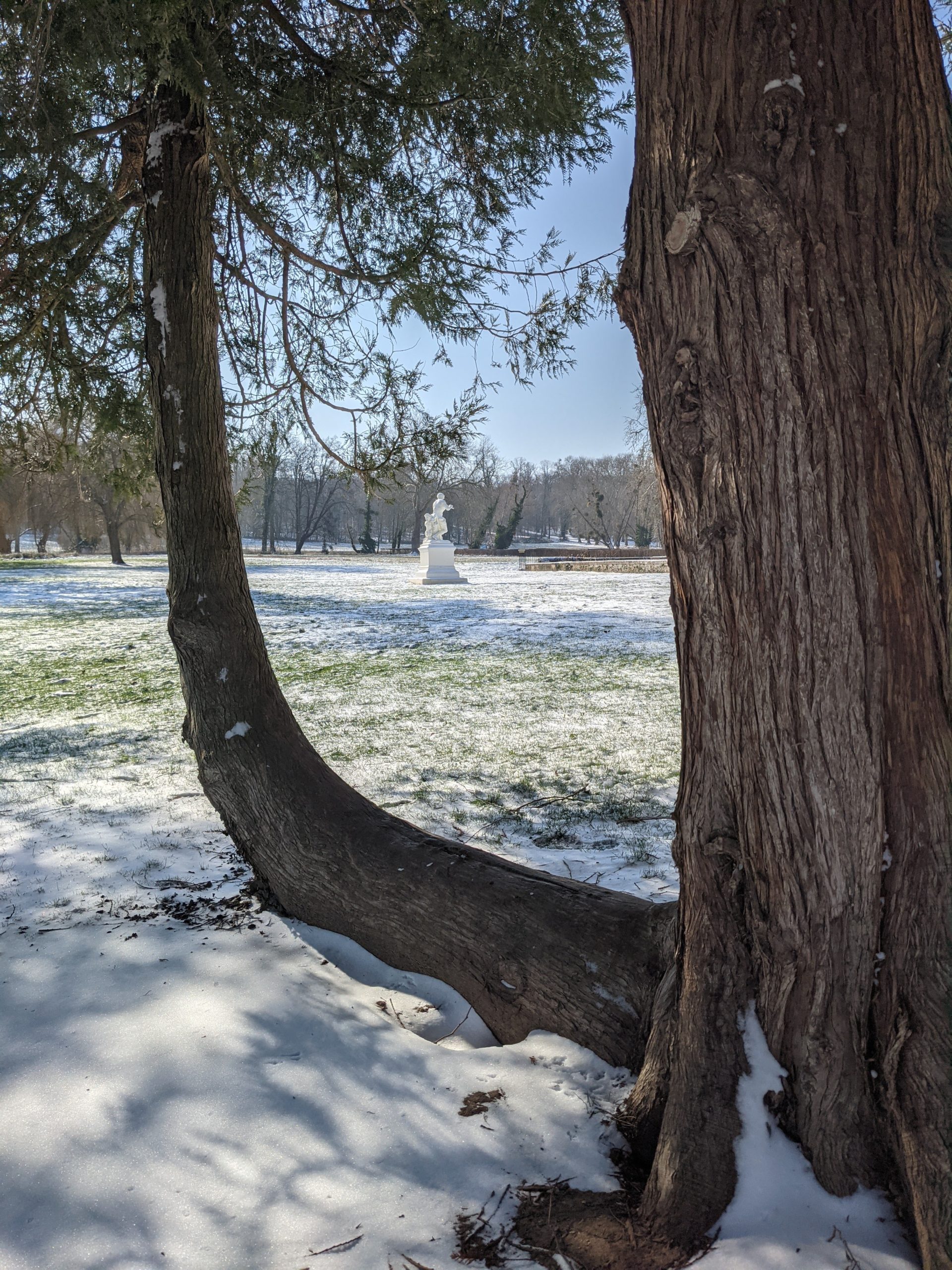 Un coin de verdure du Parc du Château de Plaisir